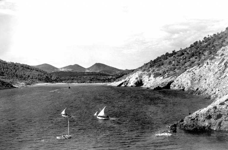 Festival en Cala Llonga