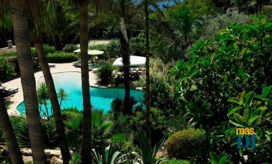 Jardín tropical con piscina tipo playa. CONRAD WHITE