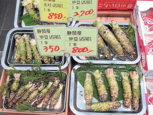 Diferentes mariscos y troncos de wasabi natural.