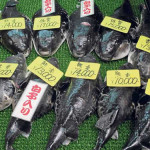 Mercados de Japón. Comida limpia en la calle | másDI - Magazine