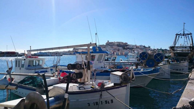 Varios barcos de pesca con Dalt Vila de fondo. cofradía de Ibiza