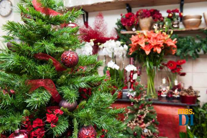 A la hora de decorar es difícil elegir y en muchos hogares el árbol de Navidad y el belén comparten espacio. SERGIO G. CAÑIZARES