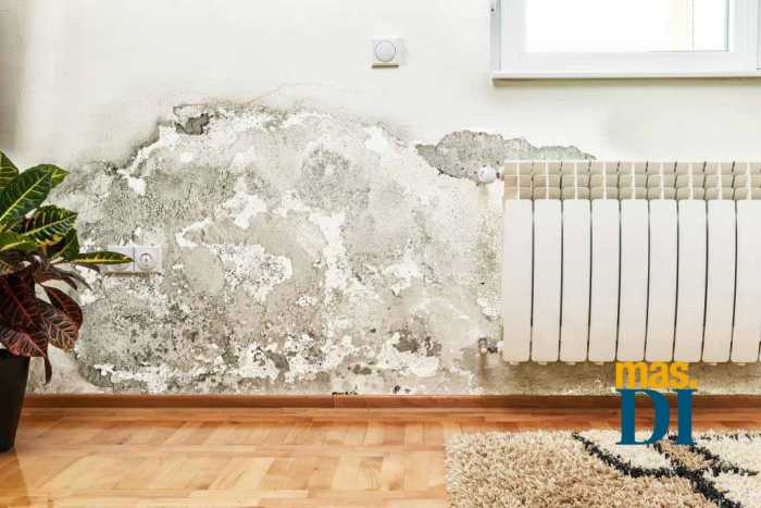 Pared de un domicilio con humedad junto al radiador. MURPROTEC