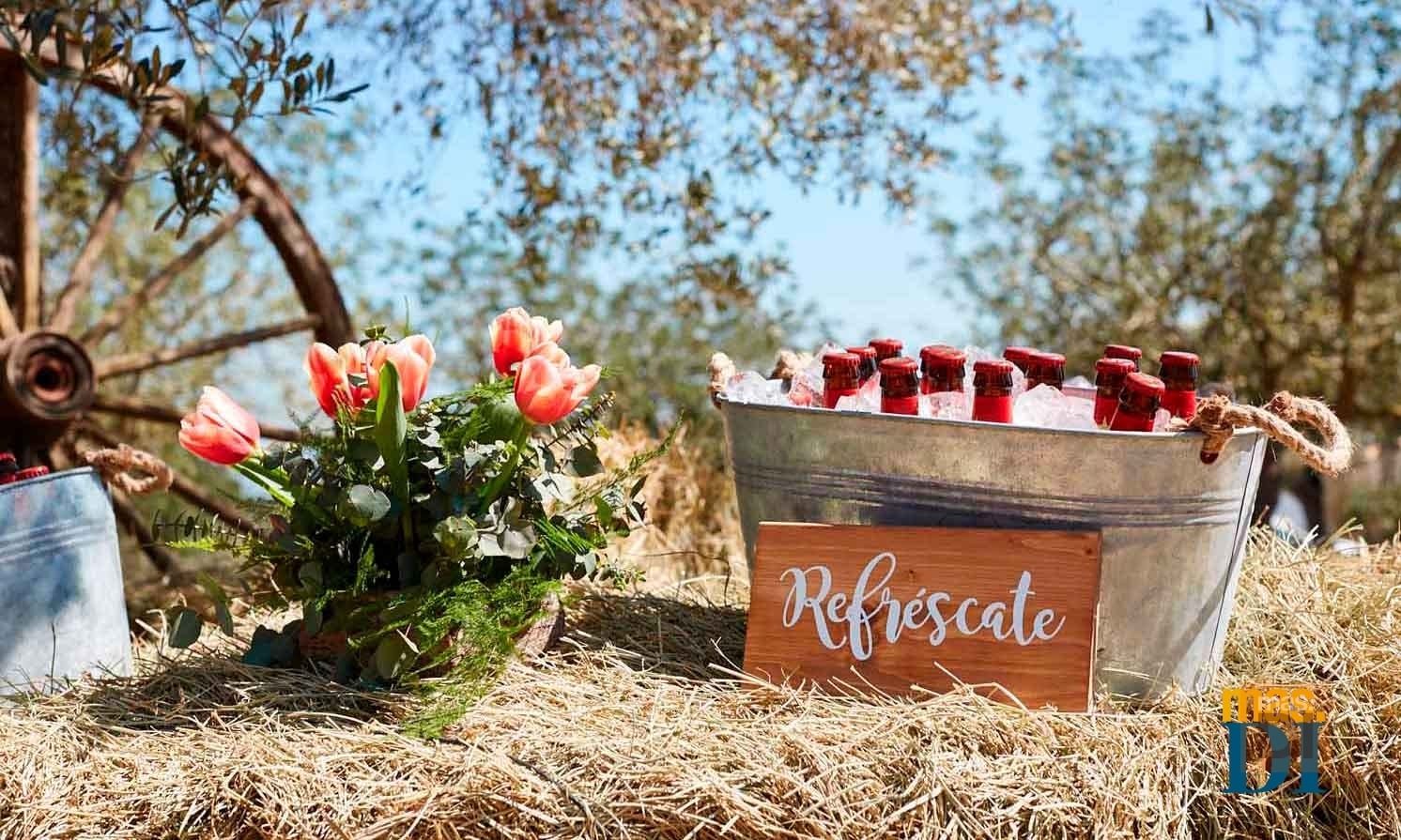 ¿Cómo organizar tu boda? | másDI - Magazine