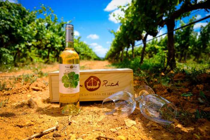 vinos ibicencos para Navidad
