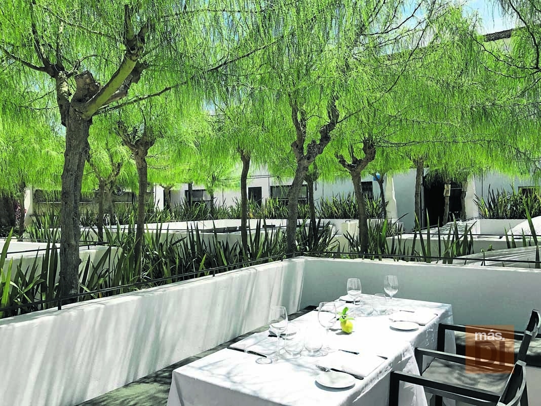 El boom de la gastronomía de lujo llega a Ibiza | másDI - Magazine