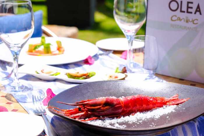 restaurante Olea de Can LLuc, a 10 minutos de Ibiza.
