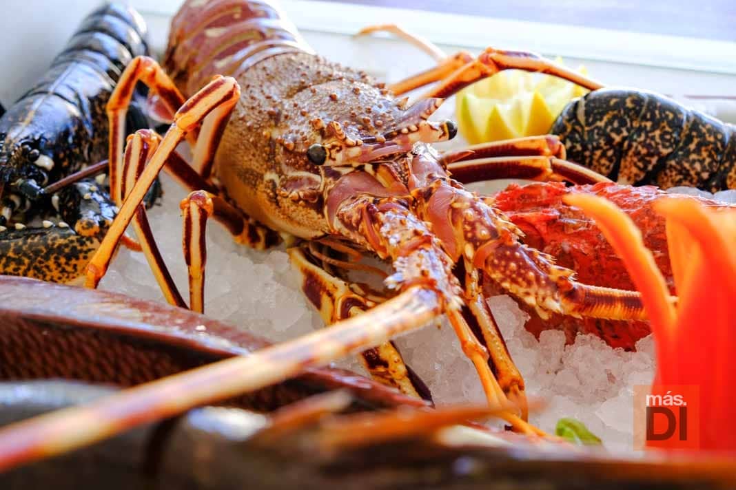 PORT BALANSAT. Un templo para la gastronomía tradicional ibicenca | másDI - Magazine