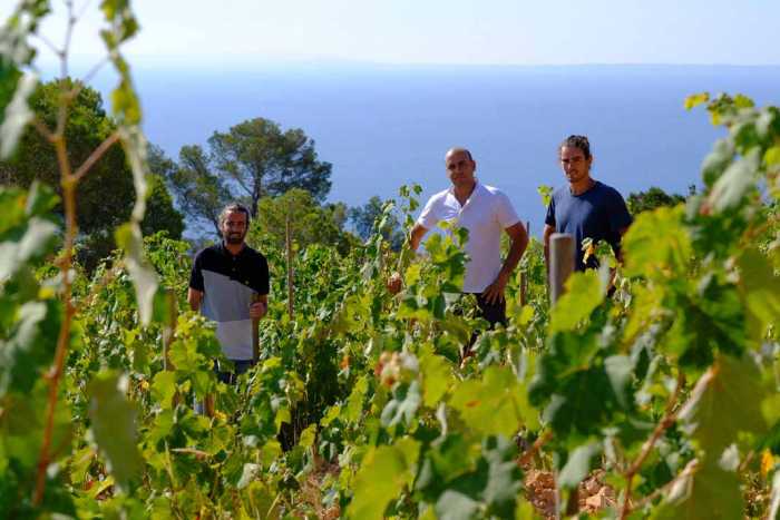 ibizkus vinos de ibiza