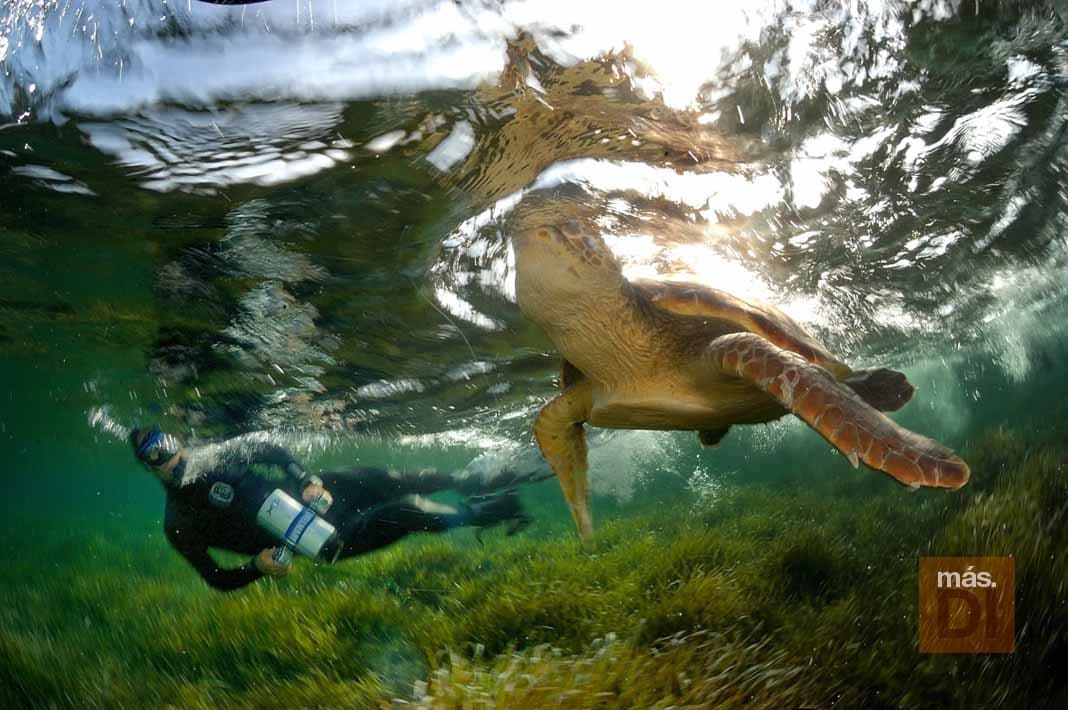 Cambio de mentalidad para devolver la vida al mar | másDI - Magazine