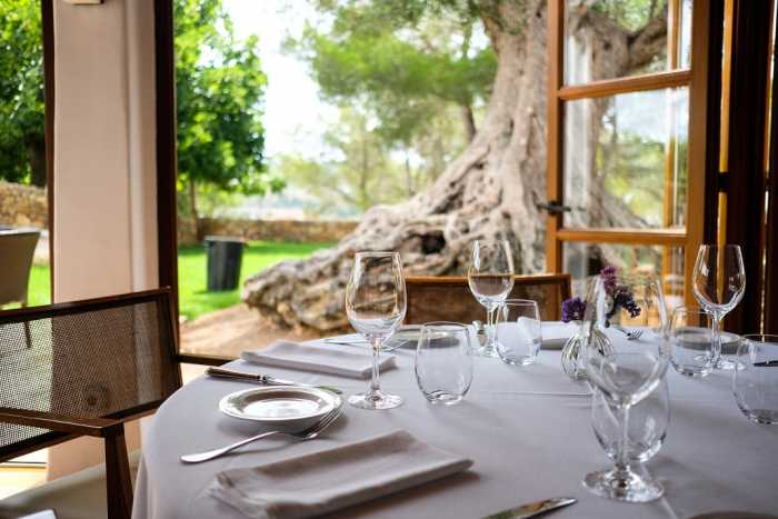 Gastronomía con vistas al olivo milenario en Can Curreu