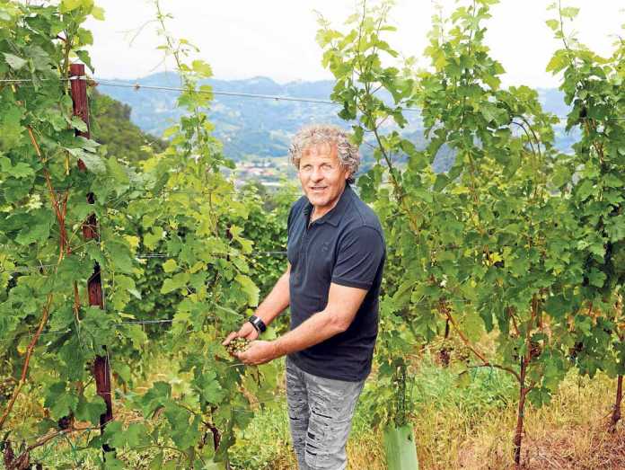 Renzo Rosso Diesel (1) Diesel. Renzo Rosso cultivando la uva en los viñedos donde produce su vino ‘Bianco di Rosso’.