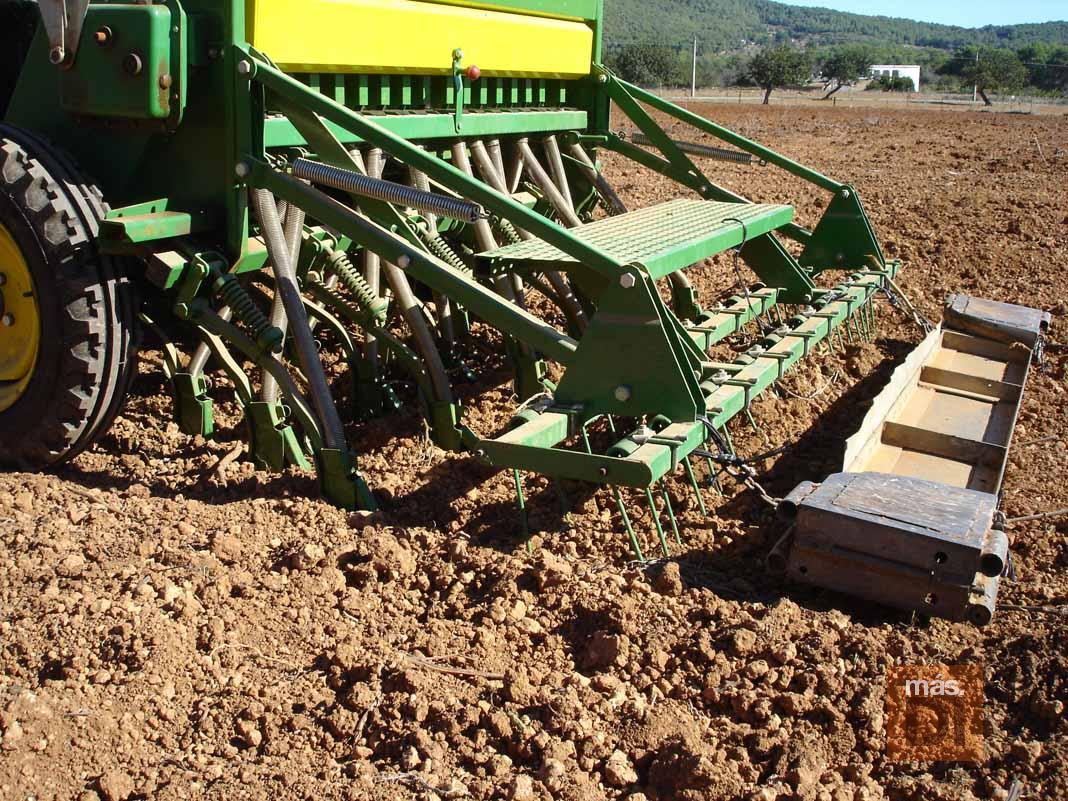 En Ibiza si se puede vivir del campo, tras el relevo genercional