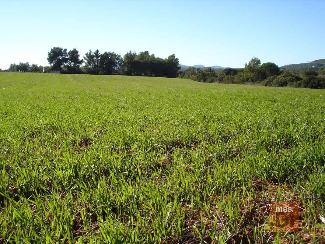 Vivir del campo sí se puede | másDI - Magazine