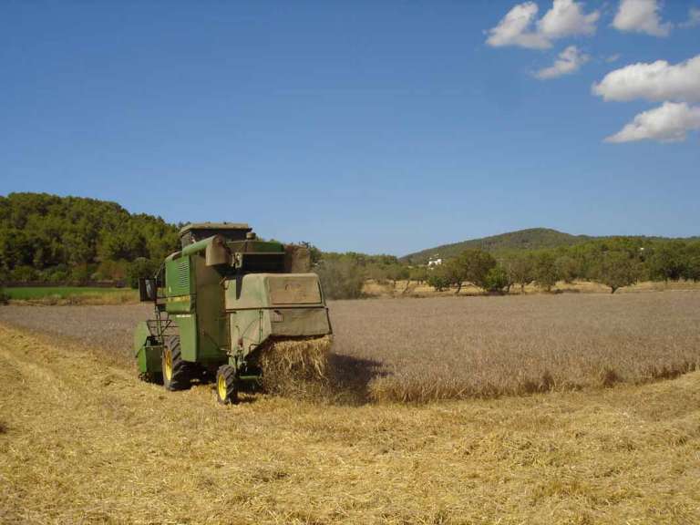 Vivir del campo sí se puede