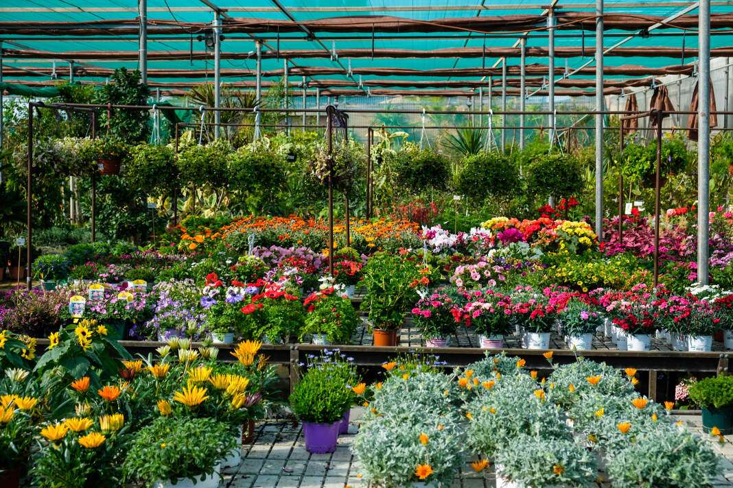 Mantenimiento de jardines.Agua y Jardín dispone de más de 25.000 m2 de terreno en Sant Jordi.