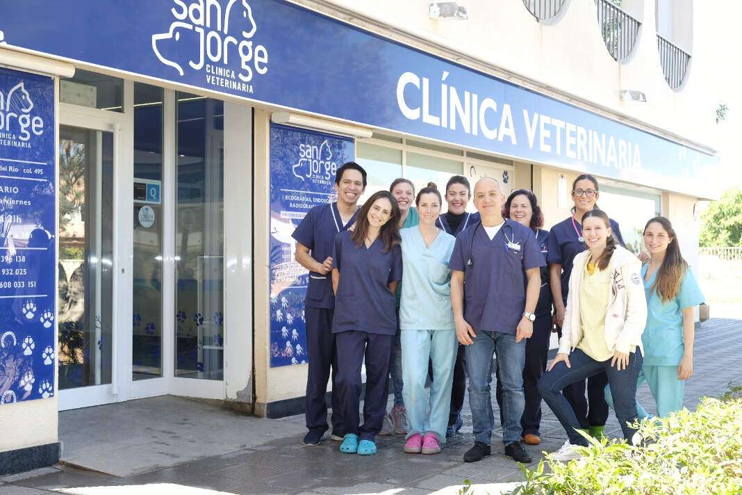 El equipo de la Clínica Veterinaria San Jorge trabaja para conseguir una experiencia placentera para la mascota y el propietario. fotos: sergio g. cañizares Clínica Veterinaria San Jorge