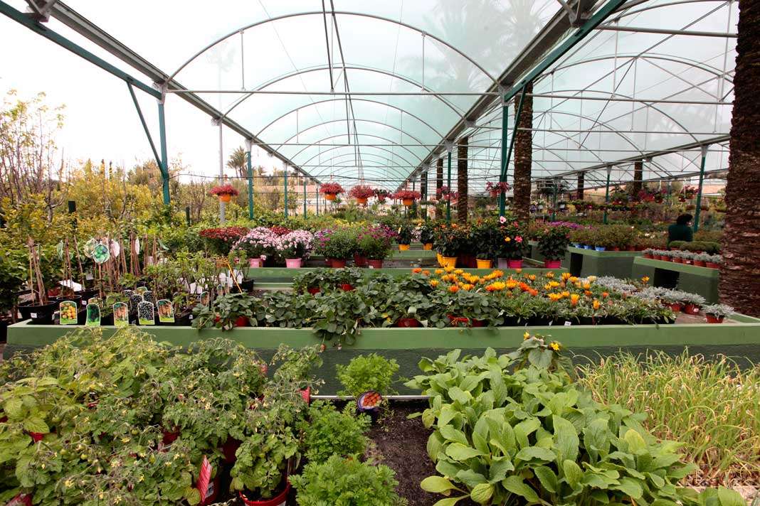 Proyectos de jardinería. Diseño integral de jardines, y un amplio surtido de plantas. s.g.c.