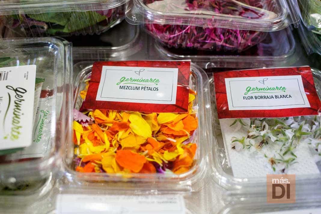 Productos de Germinarte, una de las marcas en exclusiva.