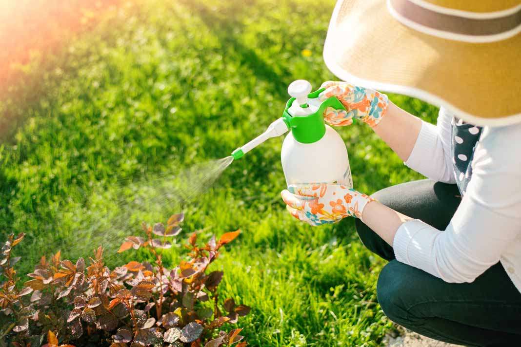 El verano es la mejor época del año para lucir un jardín de ensueño. Fotos: ISTOCK