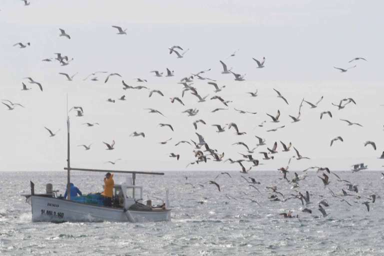 Cofradía de pescadores de Ibiza. Los pescadores de Ibiza están apostando por una pesca responsable para garantizar el futuro de la profesión. J.A. Riera