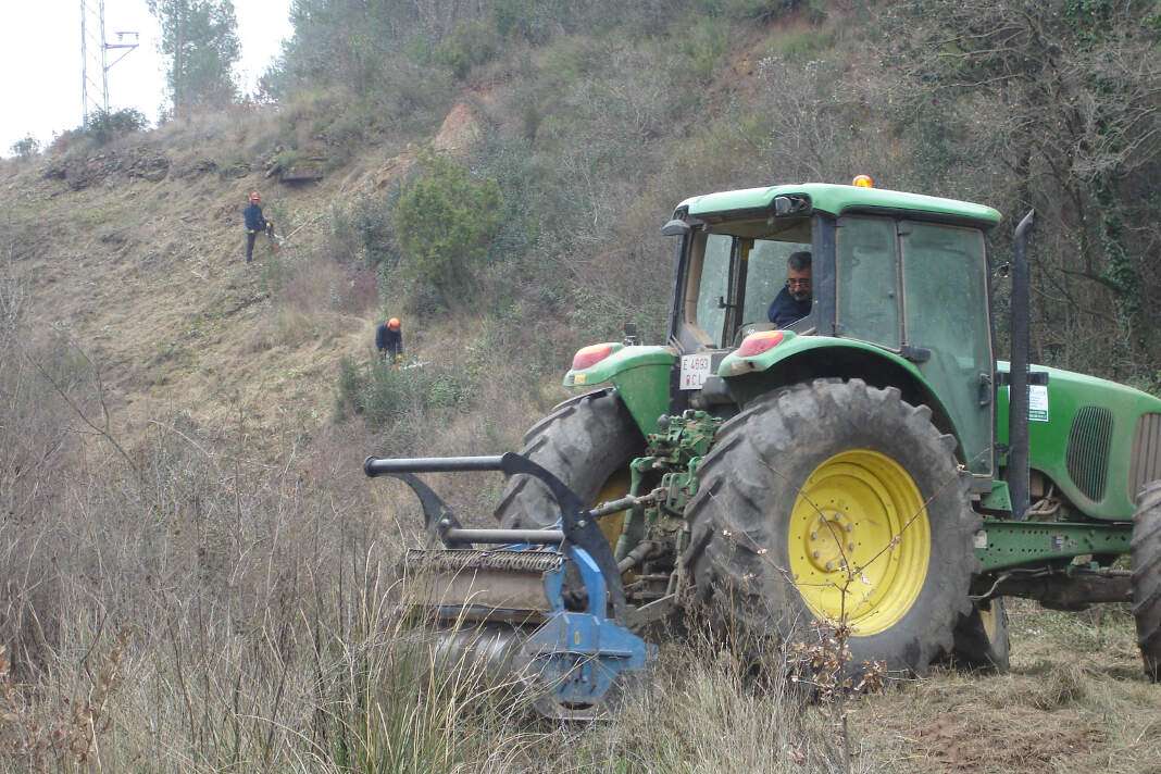 limpieza de masa forestal en Ibiza