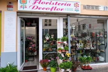 Decoflor Ibiza