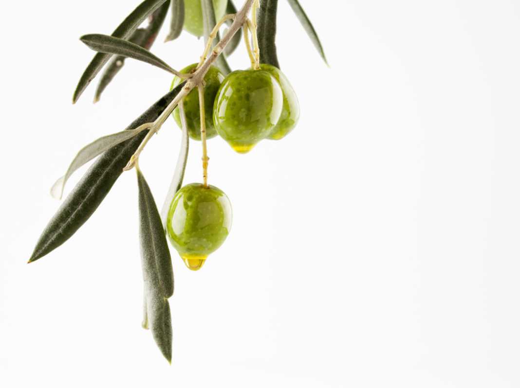 El aceite de oliva es la principal grasa de esta dieta. Foto: shutterstock