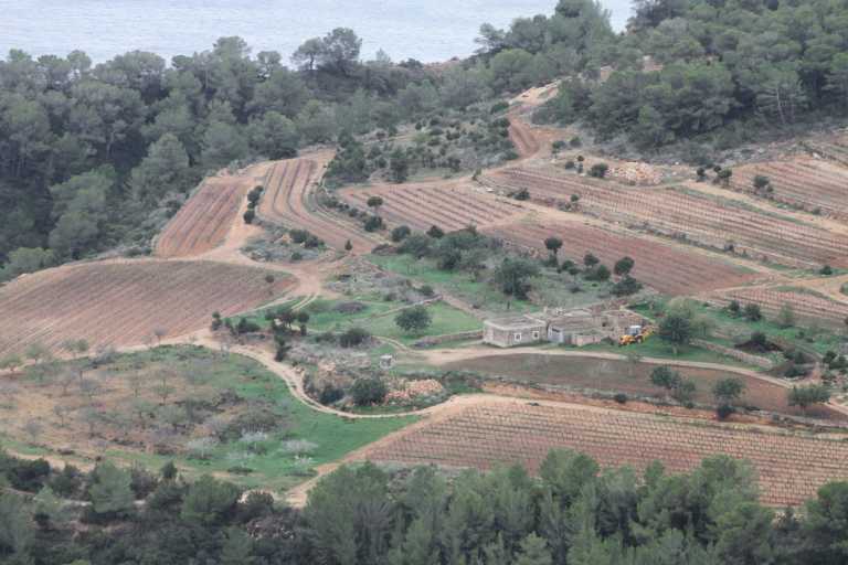 Imagen de una extensión de bosque y una zona agrícola en es Cubells.