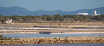 Ibiza y Formentera analizan los avances en torno al medio ambiente