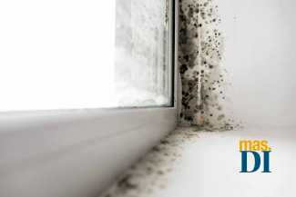 Murprotec, cómo tratar las humedades correctamente | másDI - Magazine