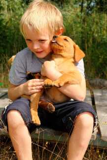 Los niños con mascotas tienen menor riesgo de alergias y obesidad | másDI - Magazine